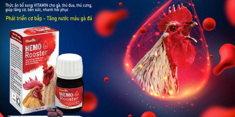 Bổ sung vitamin tổng hợp giúp chiến kê tăng sức đề kháng