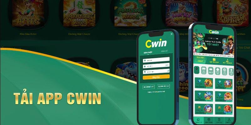 Nguyên tắc cài đặt ứng dụng Cwin là gì?