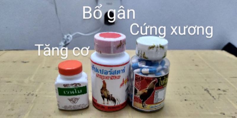 Tại sao gà cần có được bổ sung thuốc khi nuôi dưỡng?